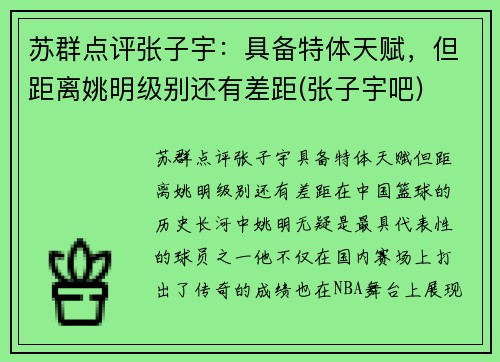 苏群点评张子宇：具备特体天赋，但距离姚明级别还有差距(张子宇吧)